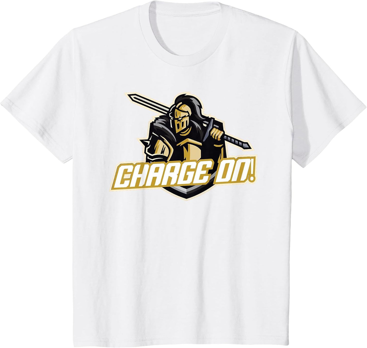 Charge On Florida Knight