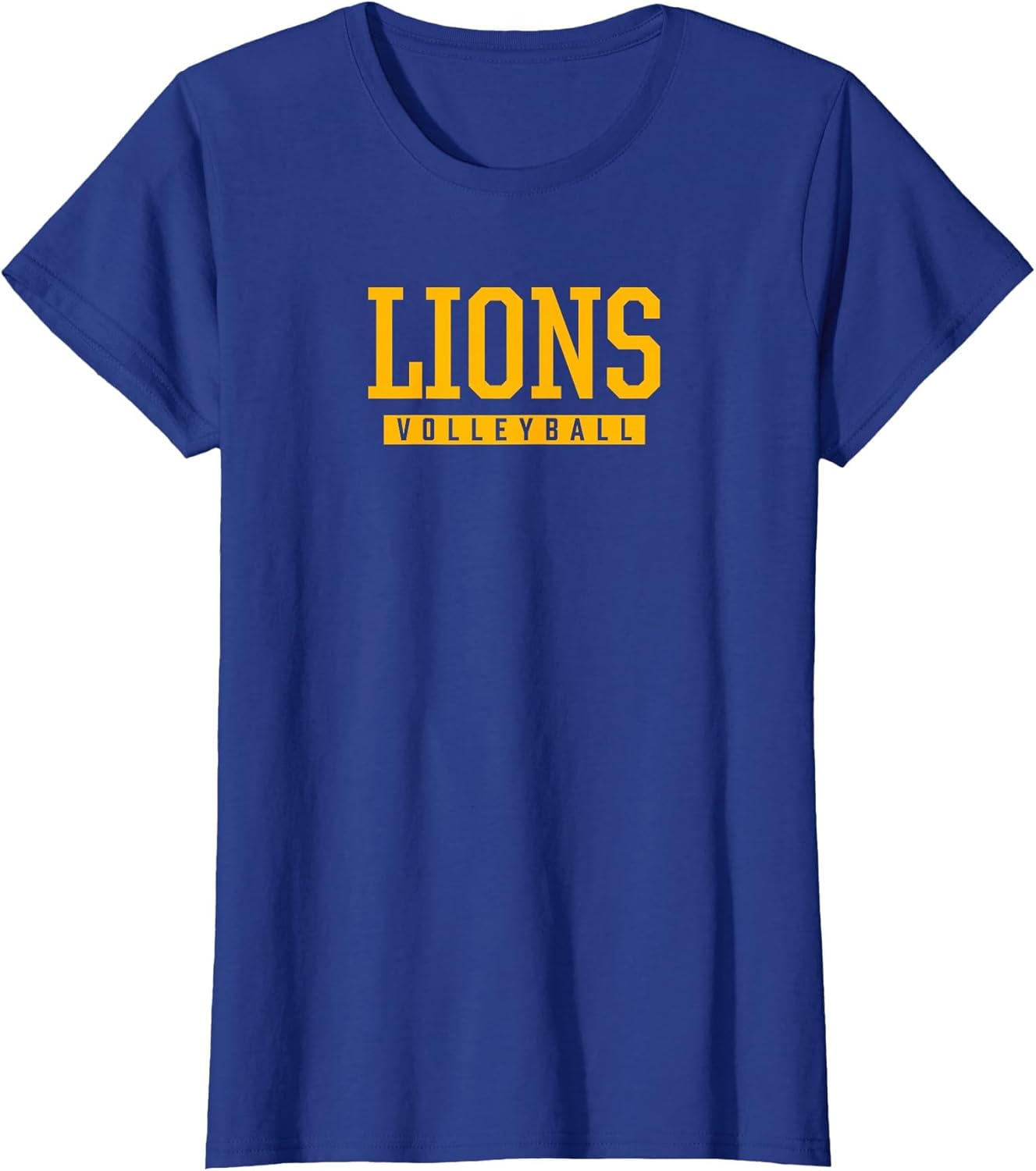 Lincoln Park Lions Volleyball HS