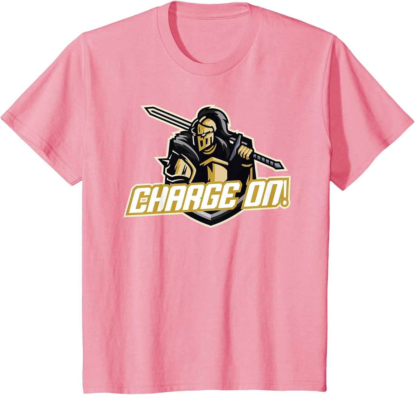 Charge On Florida Knight