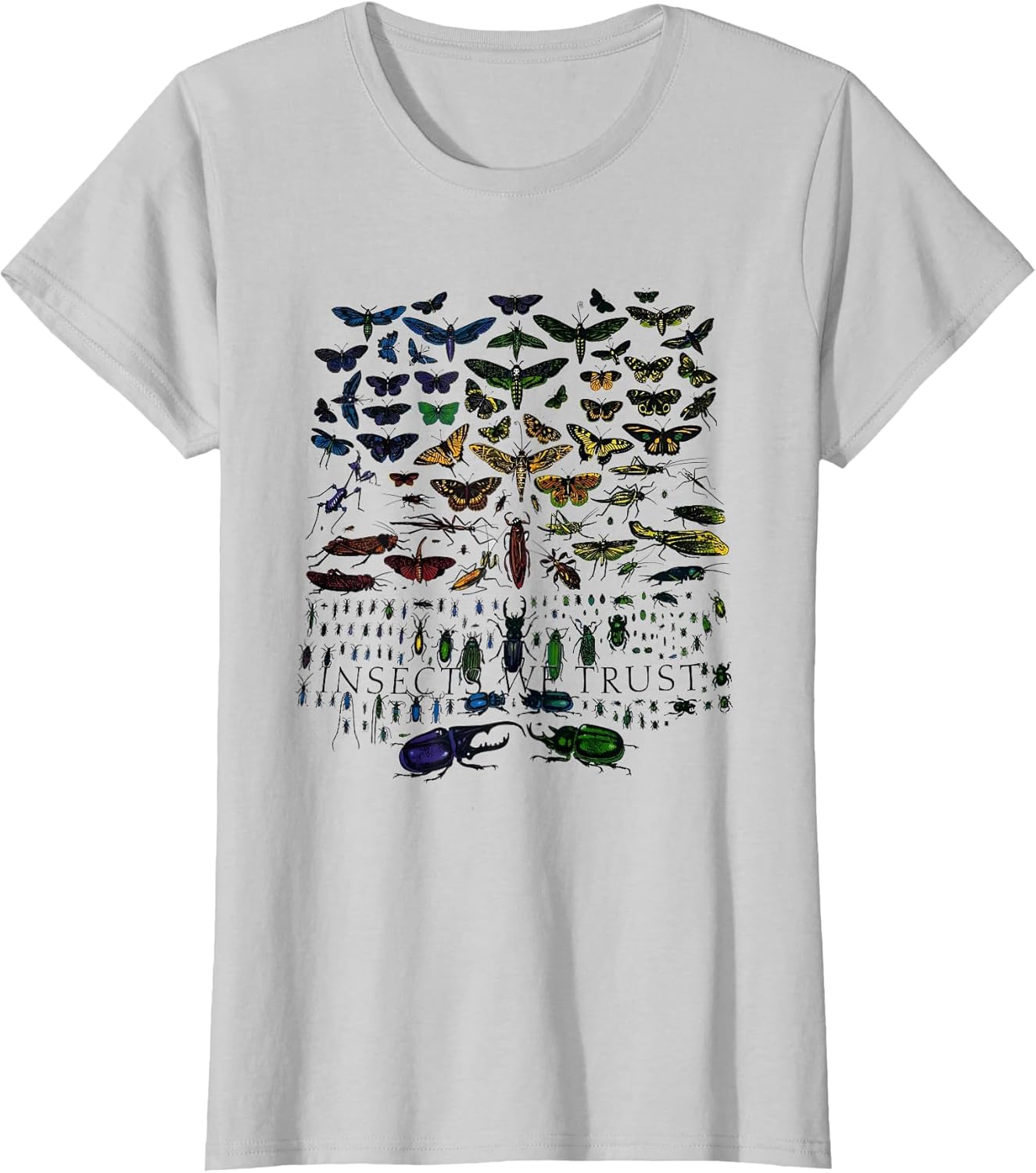 Insects We Trust Entomology Butterfly Beetle