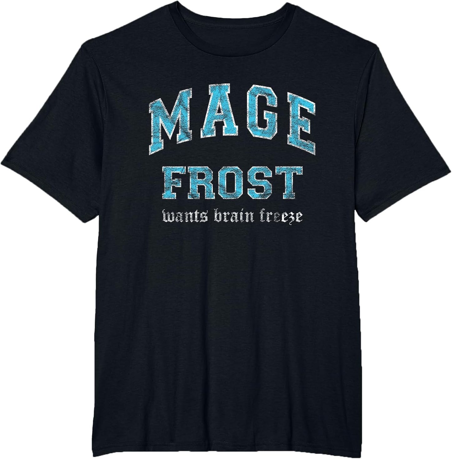 Frost Mage MMO Gamer