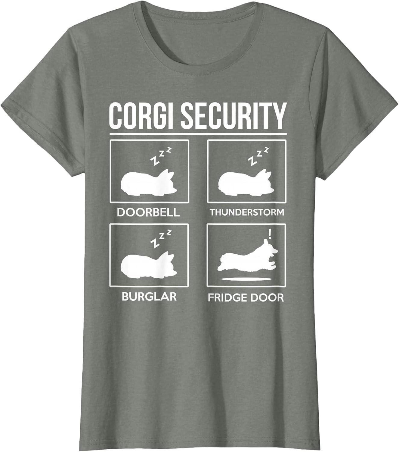 Corgi Dog Security