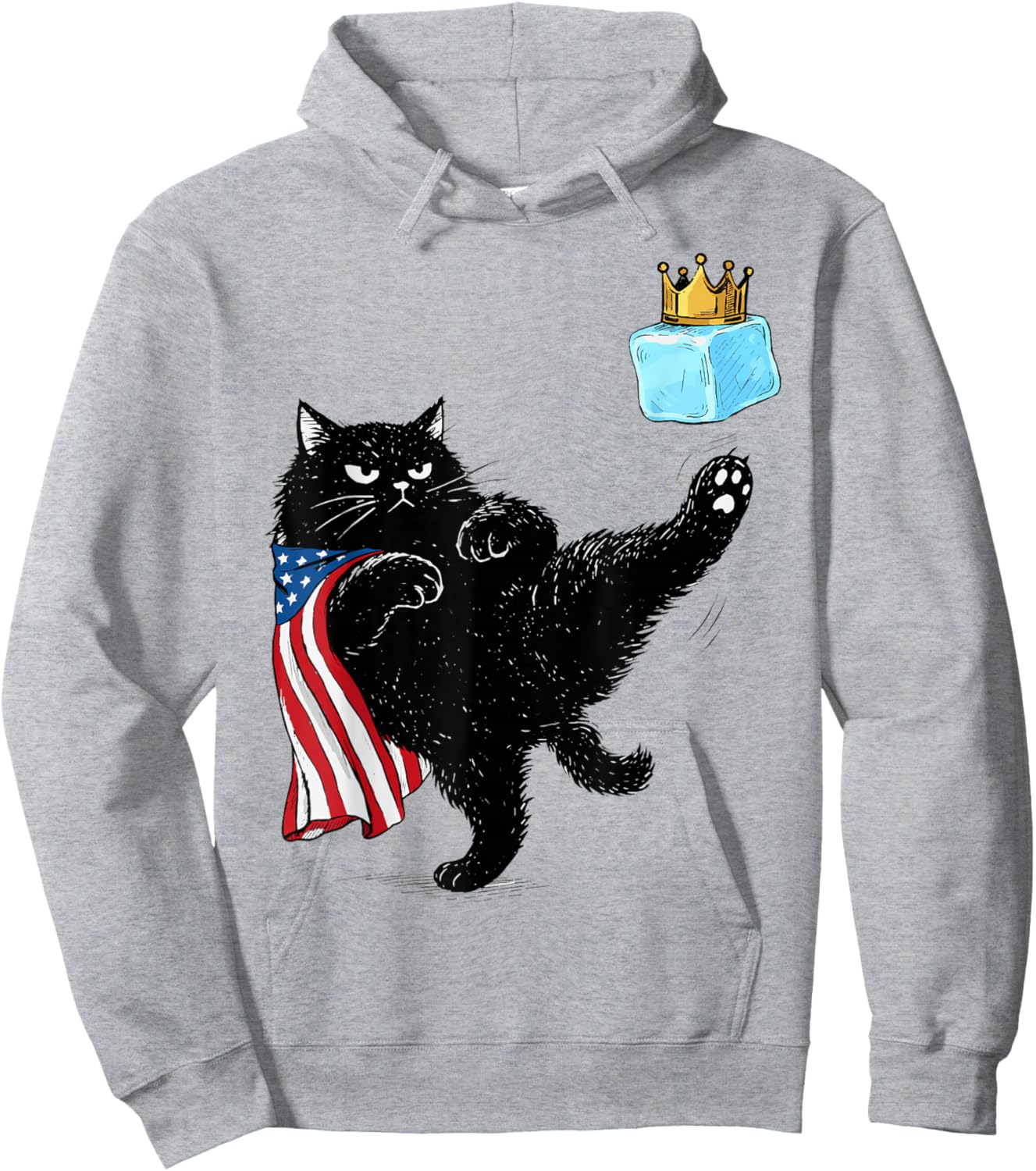 Abolish ICE Cat Resist Hoodie - Hoodie | Ash