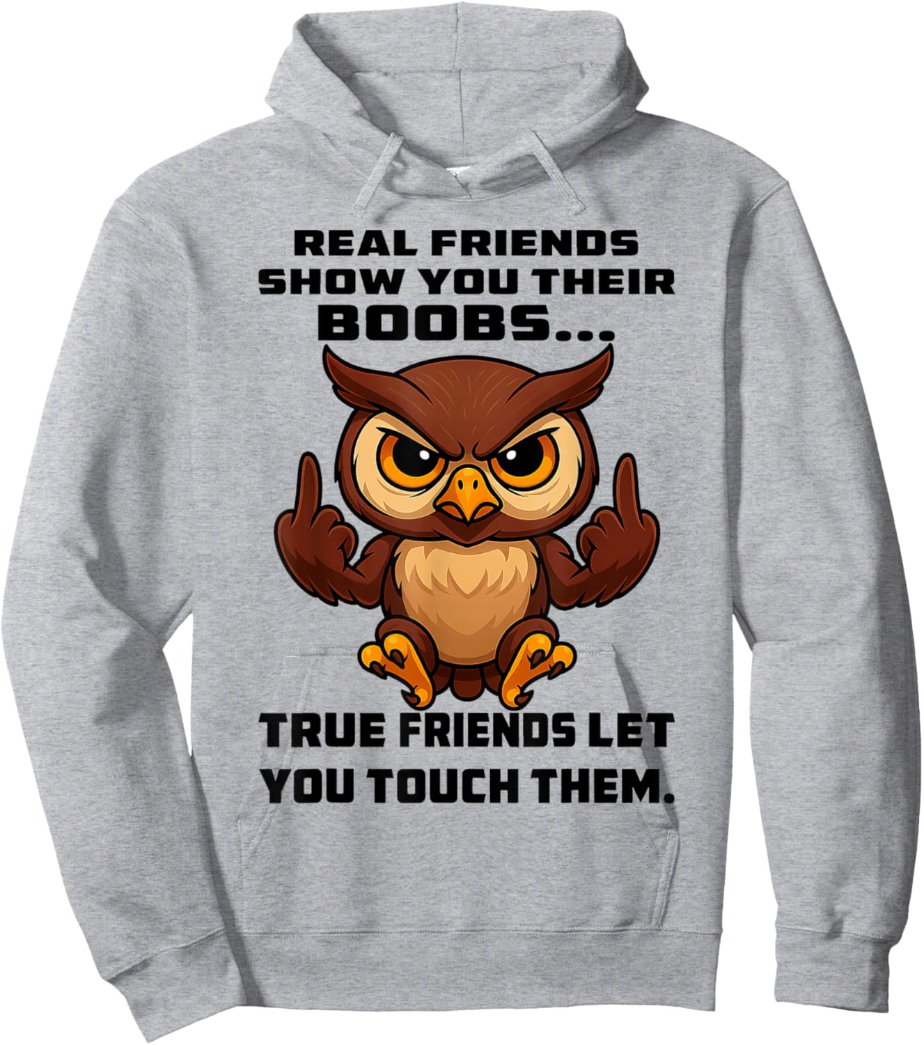 Owl - Real Friends Show You Their Boobs Hoodie - Hoodie | Ash