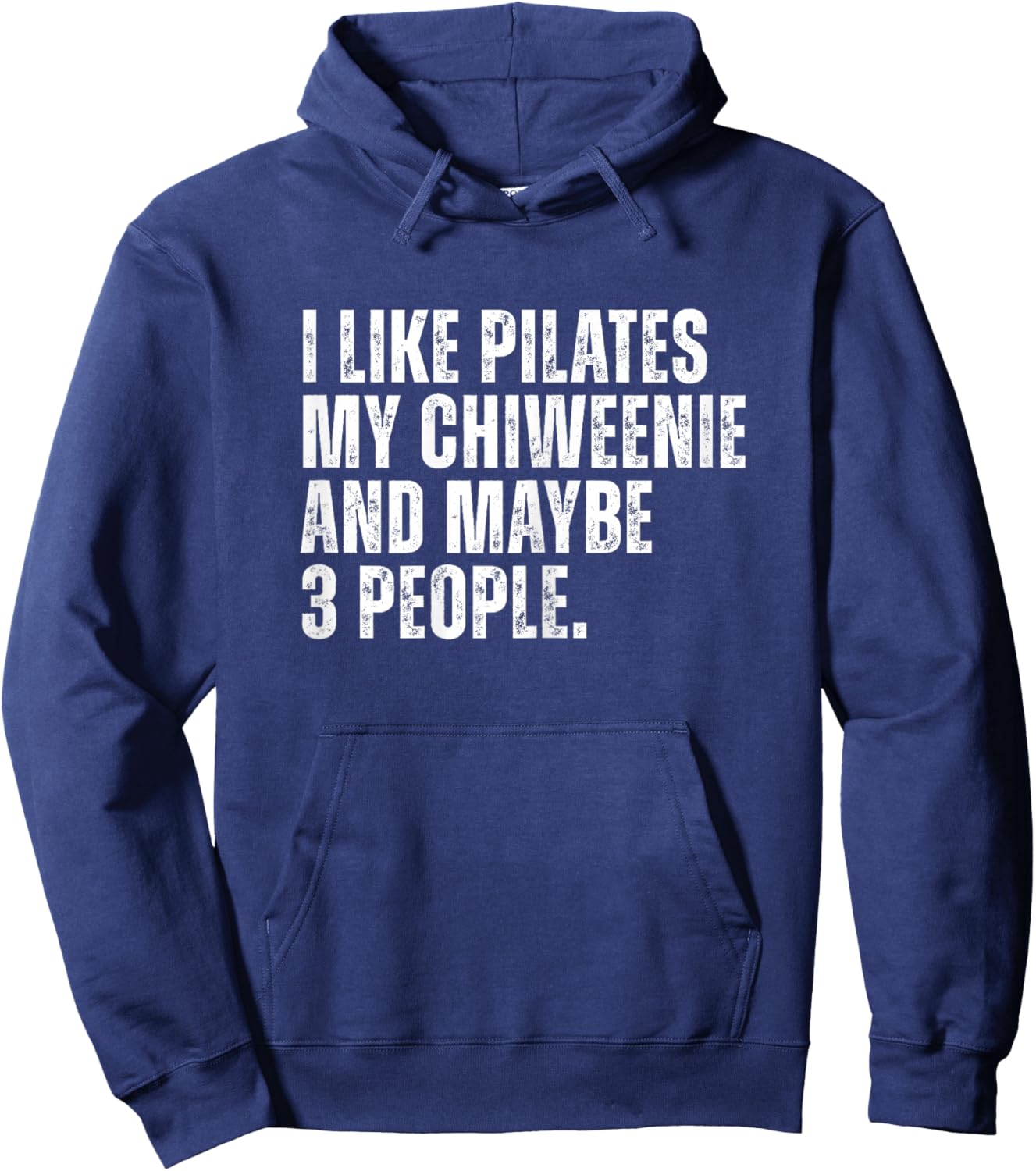 Chiweenie Dog Owner Funny Pilates Teacher Mom Hoodie - Hoodie | Navy
