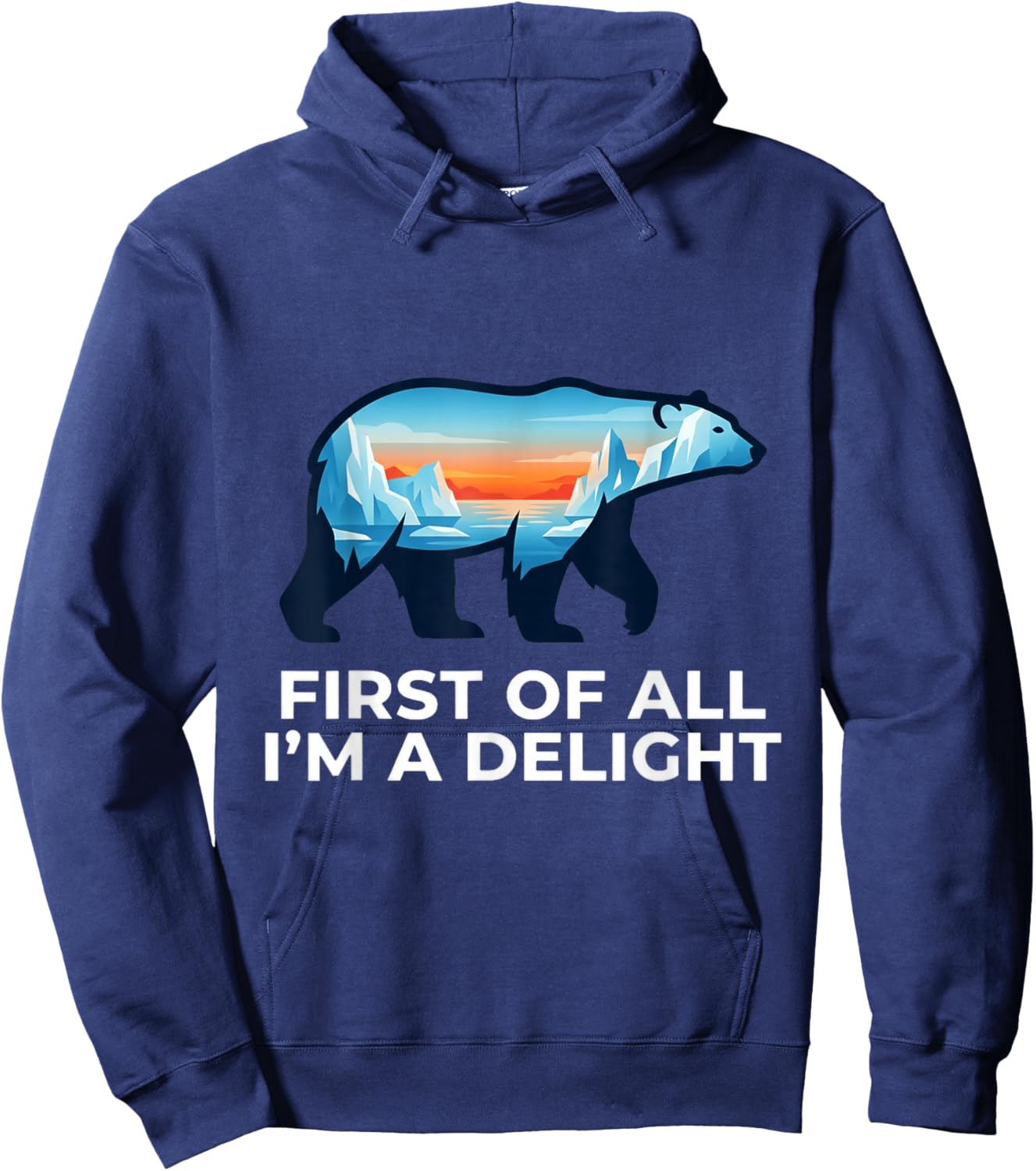 First of All Im A Delight Bear Enthusiast Hoodie - Hoodie | Navy