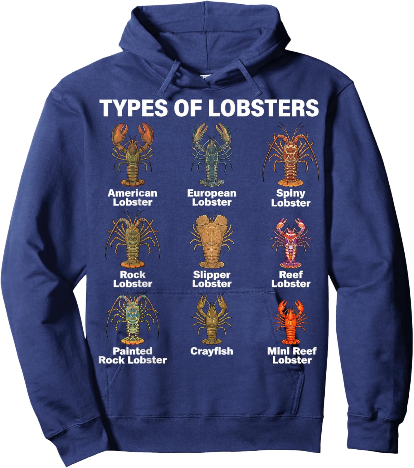 Types of Lobsters, Lobster Species Chart Hoodie - Hoodie | Navy