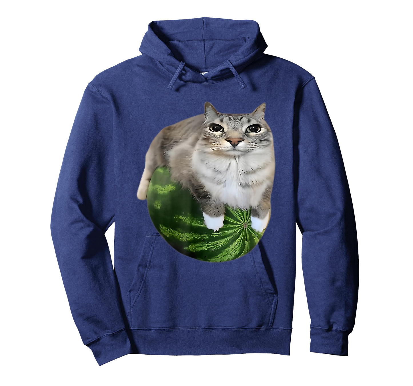 Funny Watermelon Cat Silly Meme T-Shirt