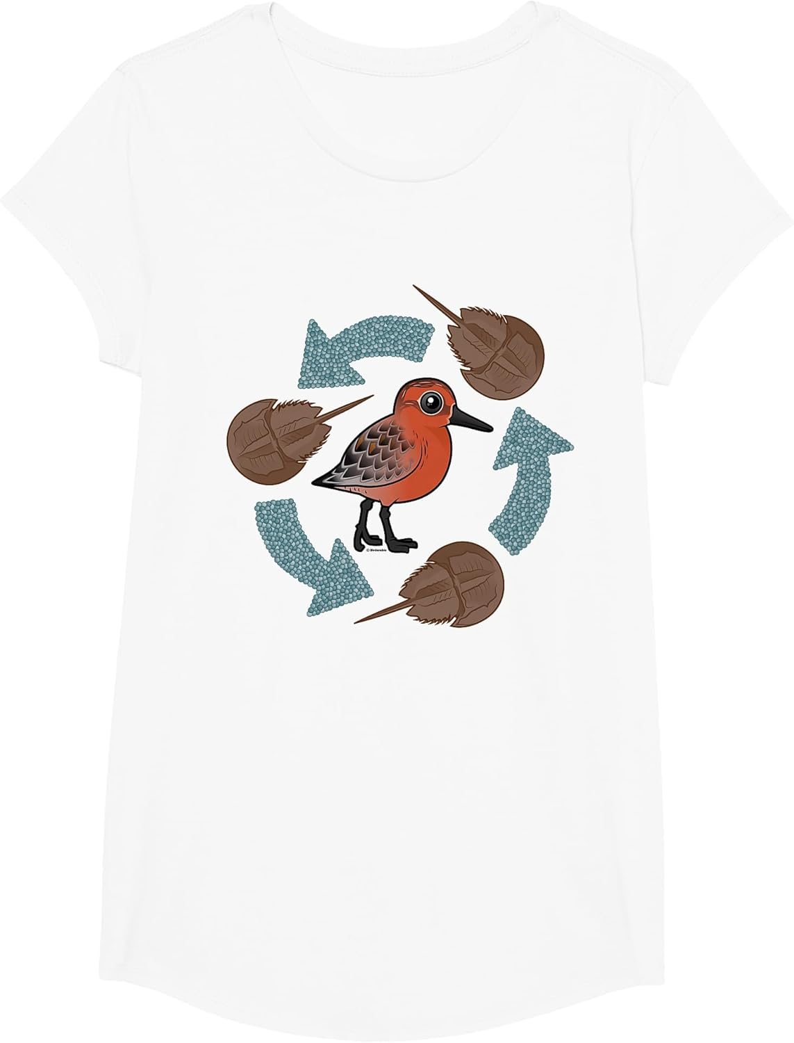 Horseshoe Crab Eggs - Red Knot Circle of Life Cartoon Bird