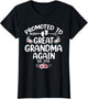 Promoted to Great Grandma Again 2026 Pregnancy Announcement
