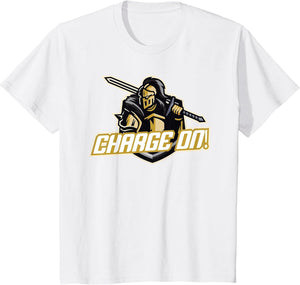 Charge On Florida Knight
