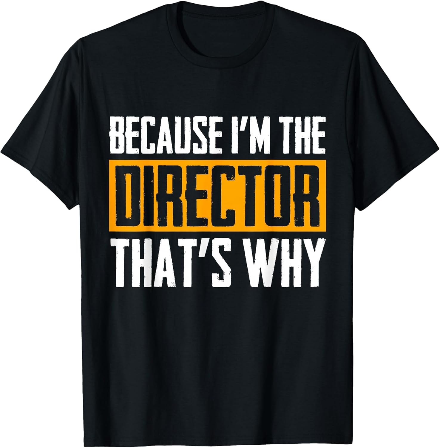 Because I'm The Director That's Why