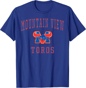 Mountain View High School Toros C1