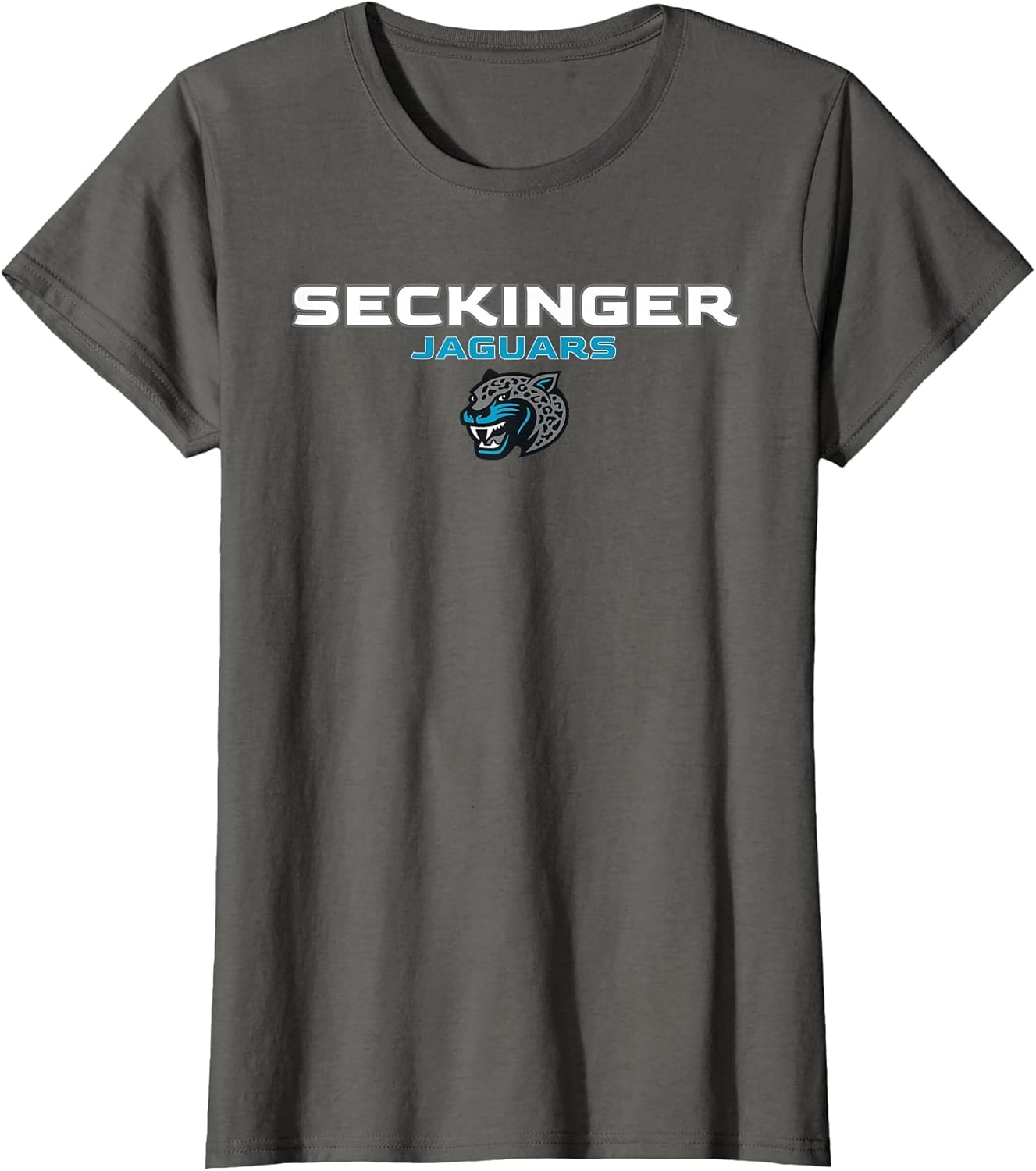 Seckinger High School Jaguars Stacked