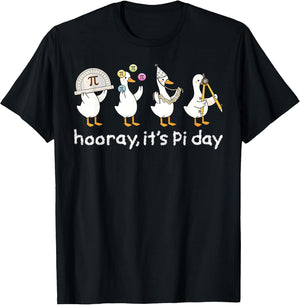 It's Pi Day Silly Goose 3.14 Math Teacher Mathematics Pun