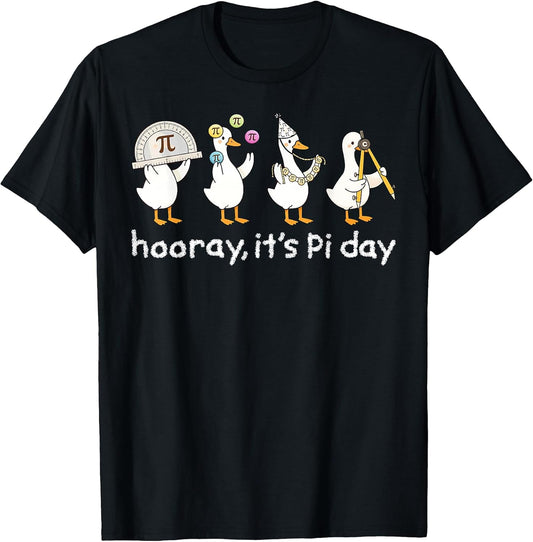 It's Pi Day Silly Goose 3.14 Math Teacher Mathematics Pun