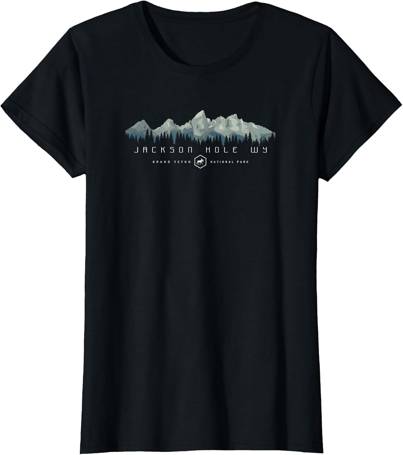 Grand Teton National Park Retro