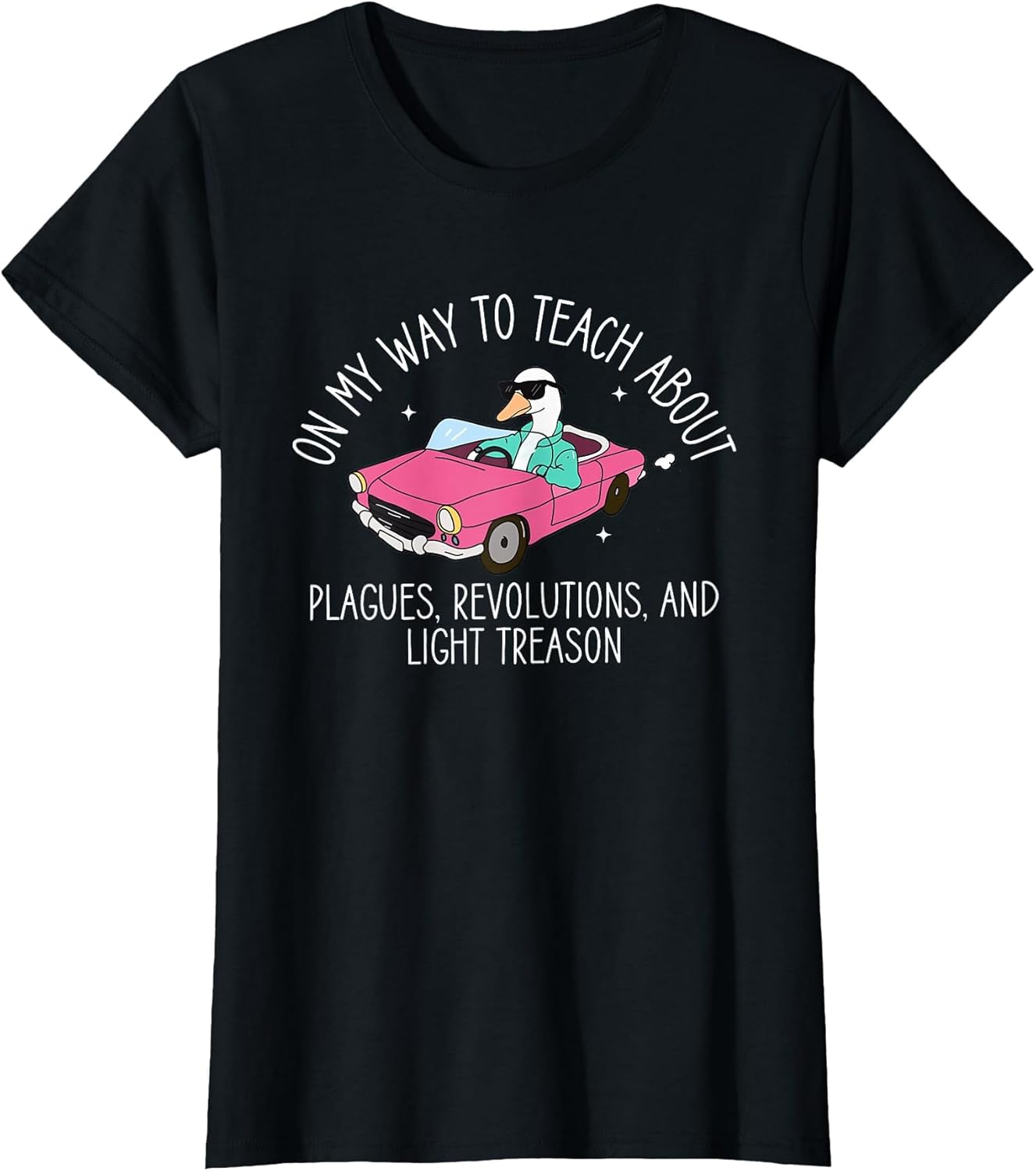 History Teacher Silly Goose Back to School Social Studies
