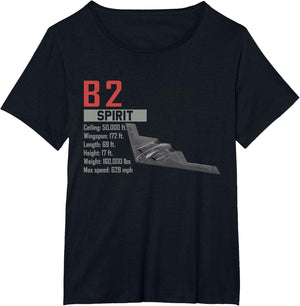American Aircraft Stealth Bomber B2 Spirit