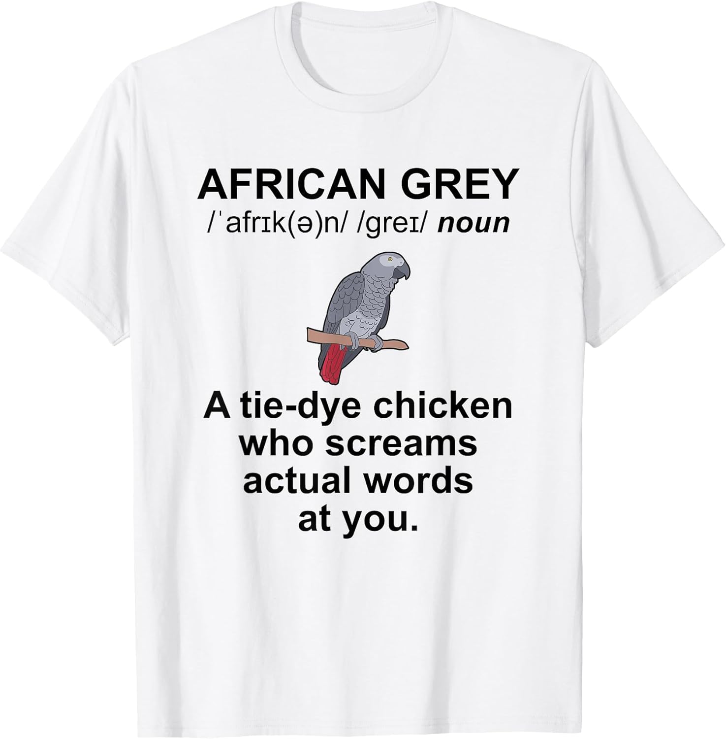African Grey Owner Definition African Grey Parrot Lover