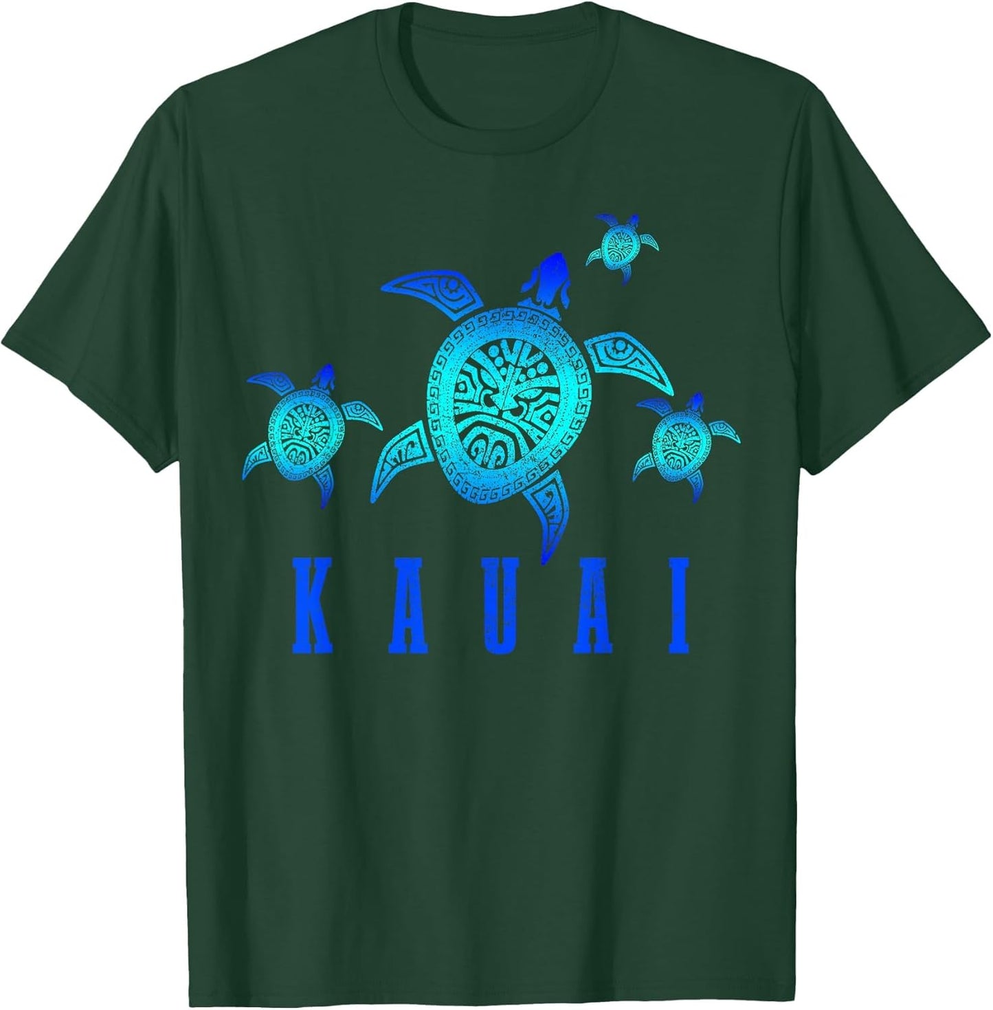 Kauai Hawaii Turtle Diving Diver