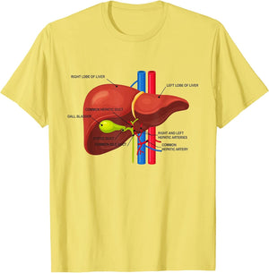 Funny Human Liver Anatomy Anatomical Liver