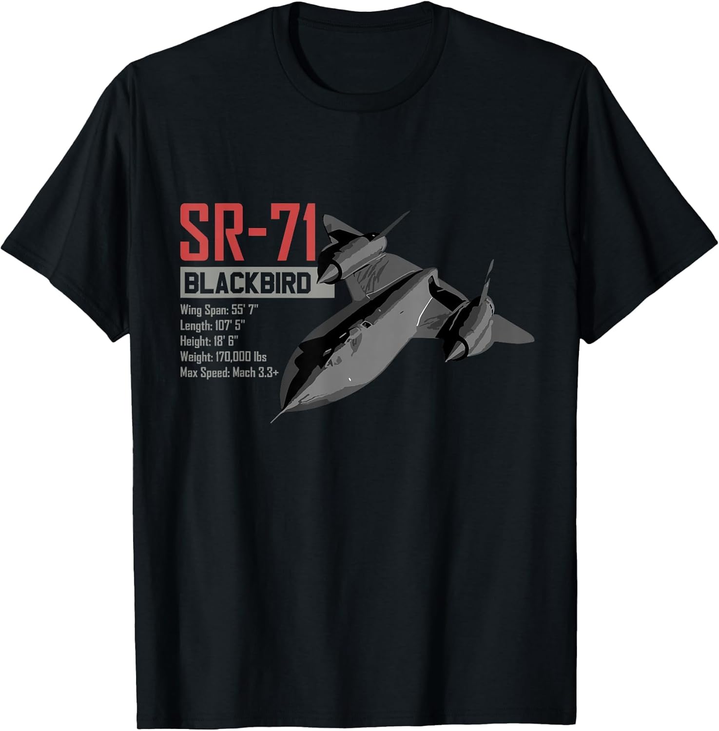American Reconnaissance Aircraft SR71 Blackbird