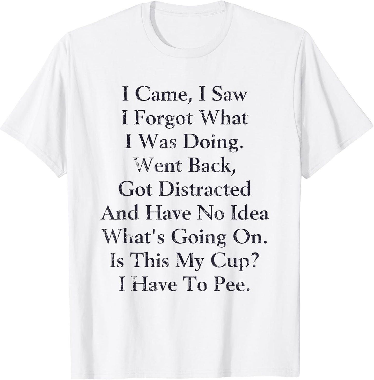 I Came I Saw I Forgot What I Doing Went Back Got Distracted