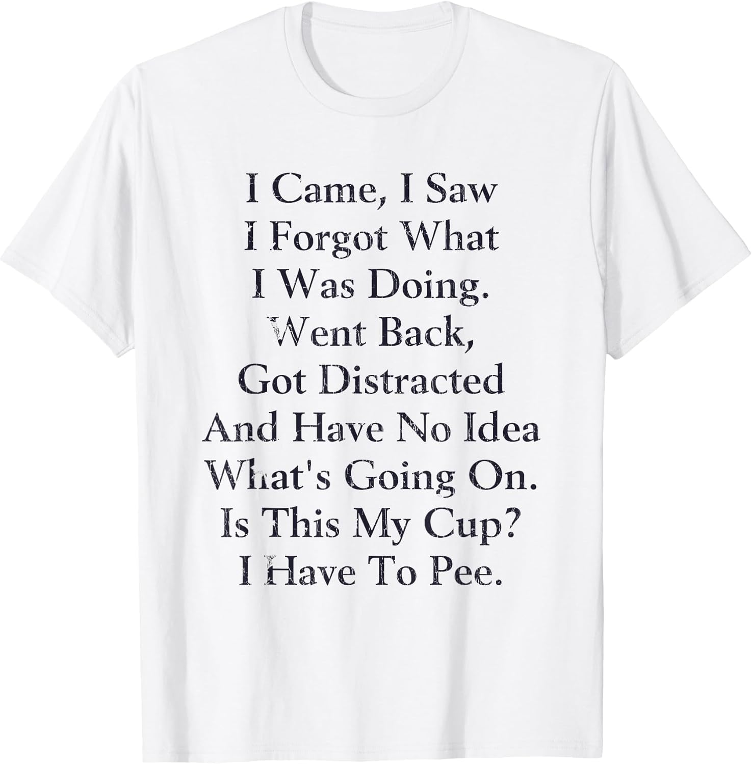 I Came I Saw I Forgot What I Doing Went Back Got Distracted
