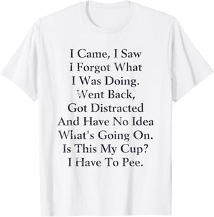 I Came I Saw I Forgot What I Doing Went Back Got Distracted
