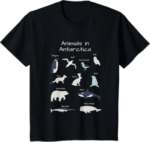 Antarctica Animals Narwhal Bear Penguin Seal Whale Owl Fox