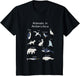 Antarctica Animals Narwhal Bear Penguin Seal Whale Owl Fox