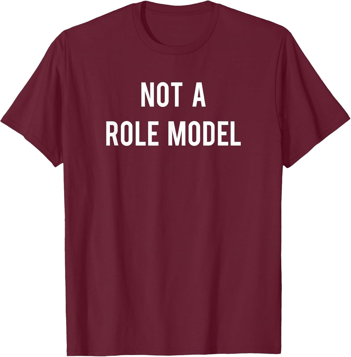Not A Role Model Shirt