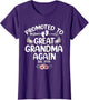 Promoted to Great Grandma Again 2026 Pregnancy Announcement