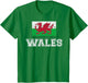 Wales Flag Vintage I Men Women Kids