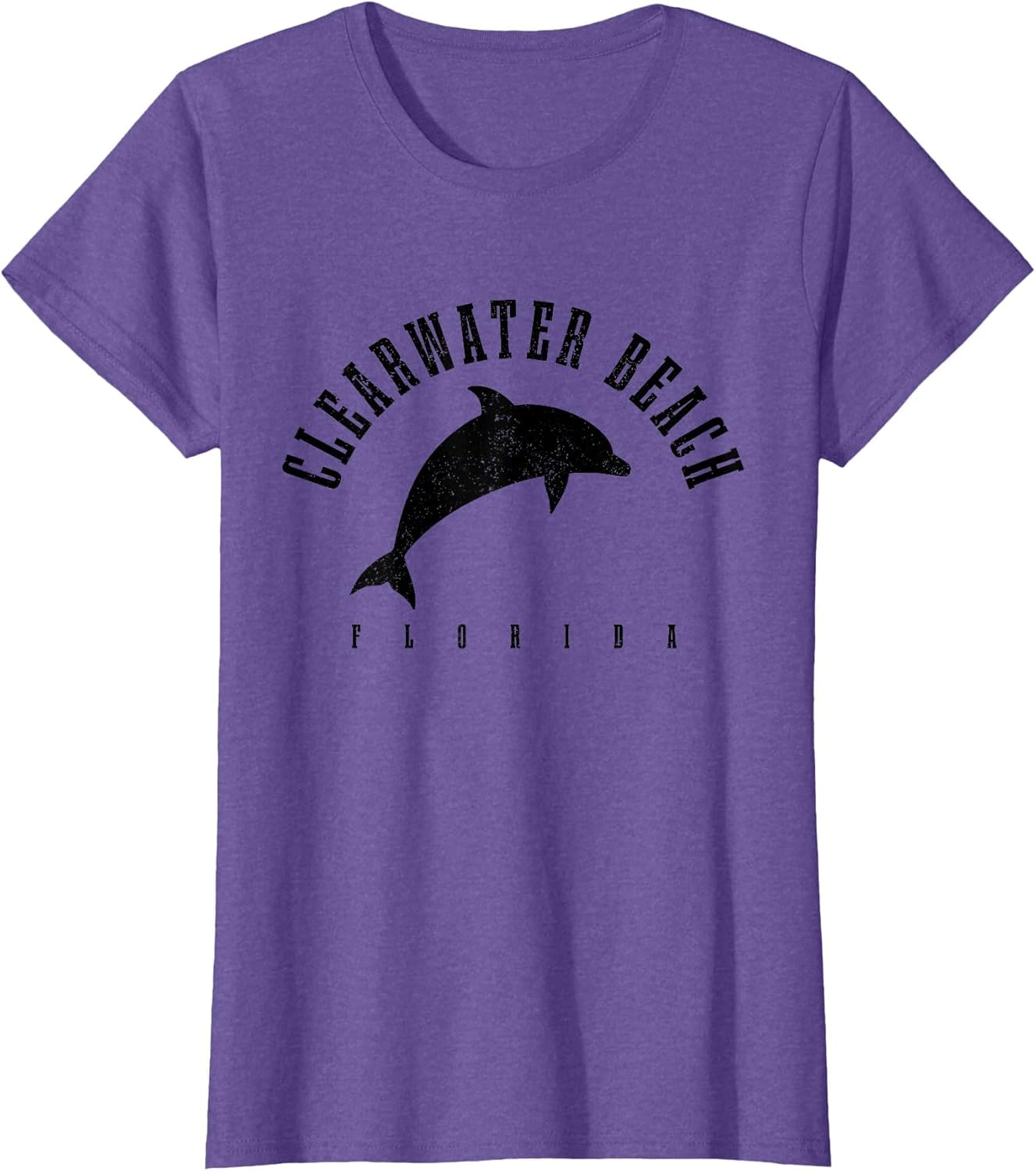 Clearwater Beach Florida FL Dolphin Vacation Souvenir