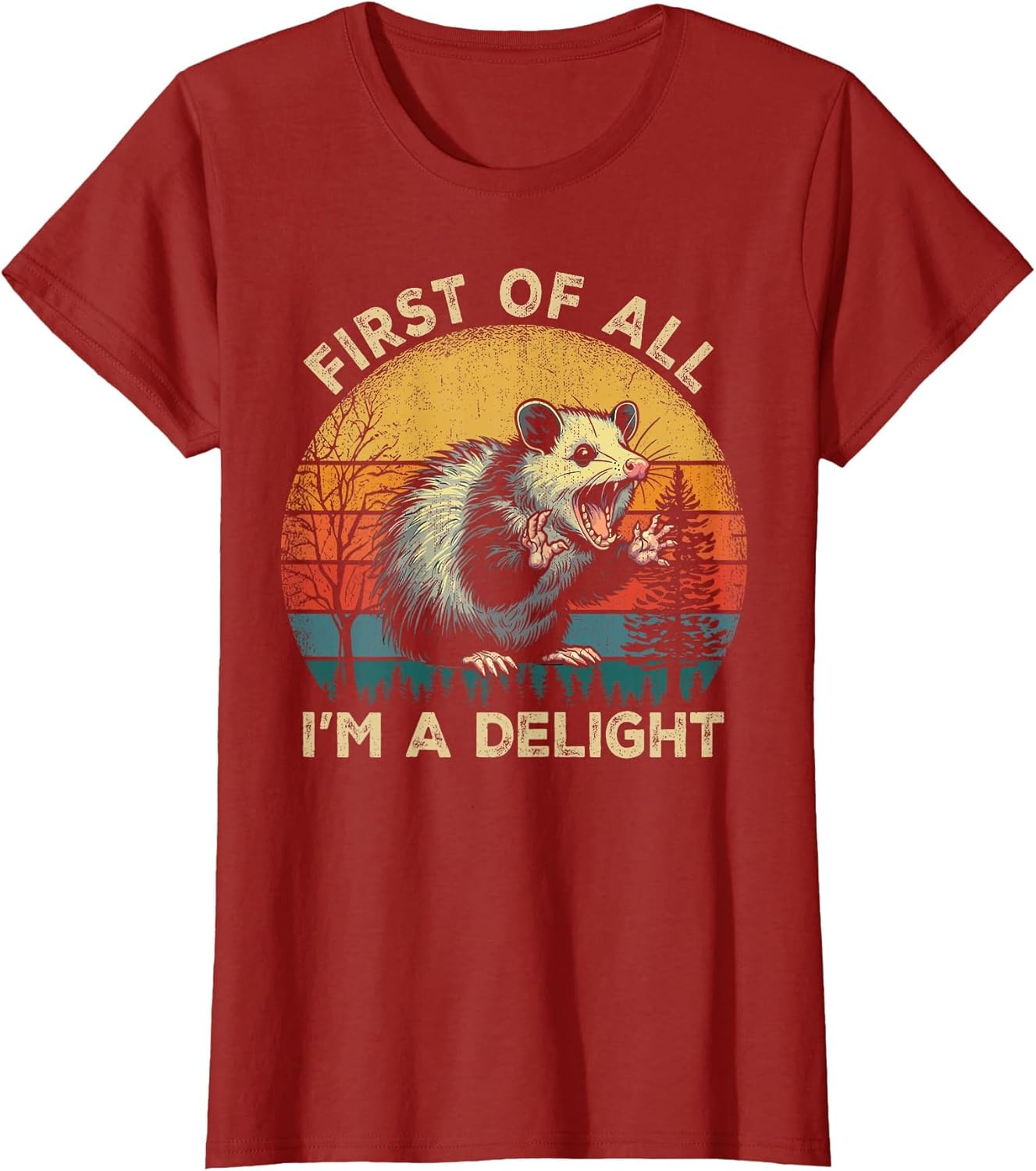First of All I'm A Delight Sarcastic Angry Opossum Possum