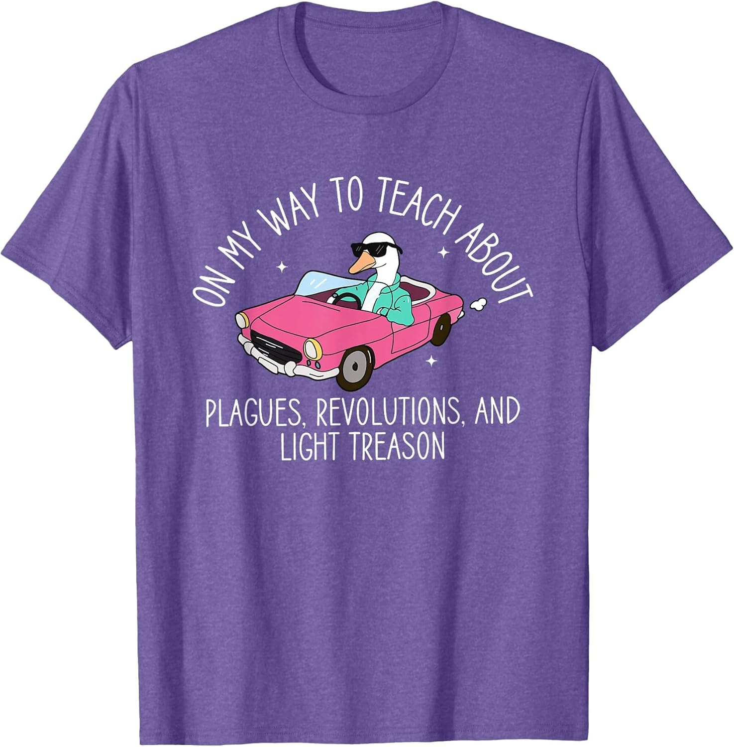 History Teacher Silly Goose Back to School Social Studies