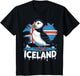 Iceland Puffin Scandinavia Viking Norse Icelandic Iceland