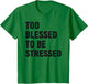 Too Blessed to Be Stressed Christian Church Camp Green