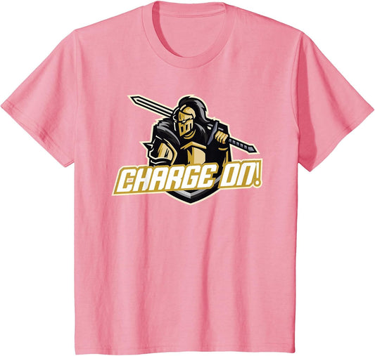 Charge On Florida Knight
