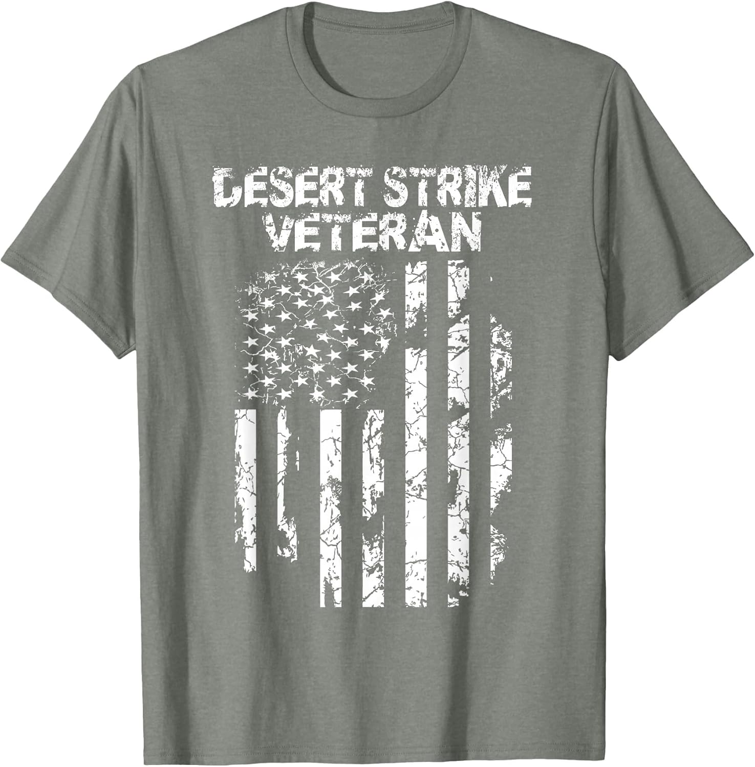 Operation Desert Strike Veteran