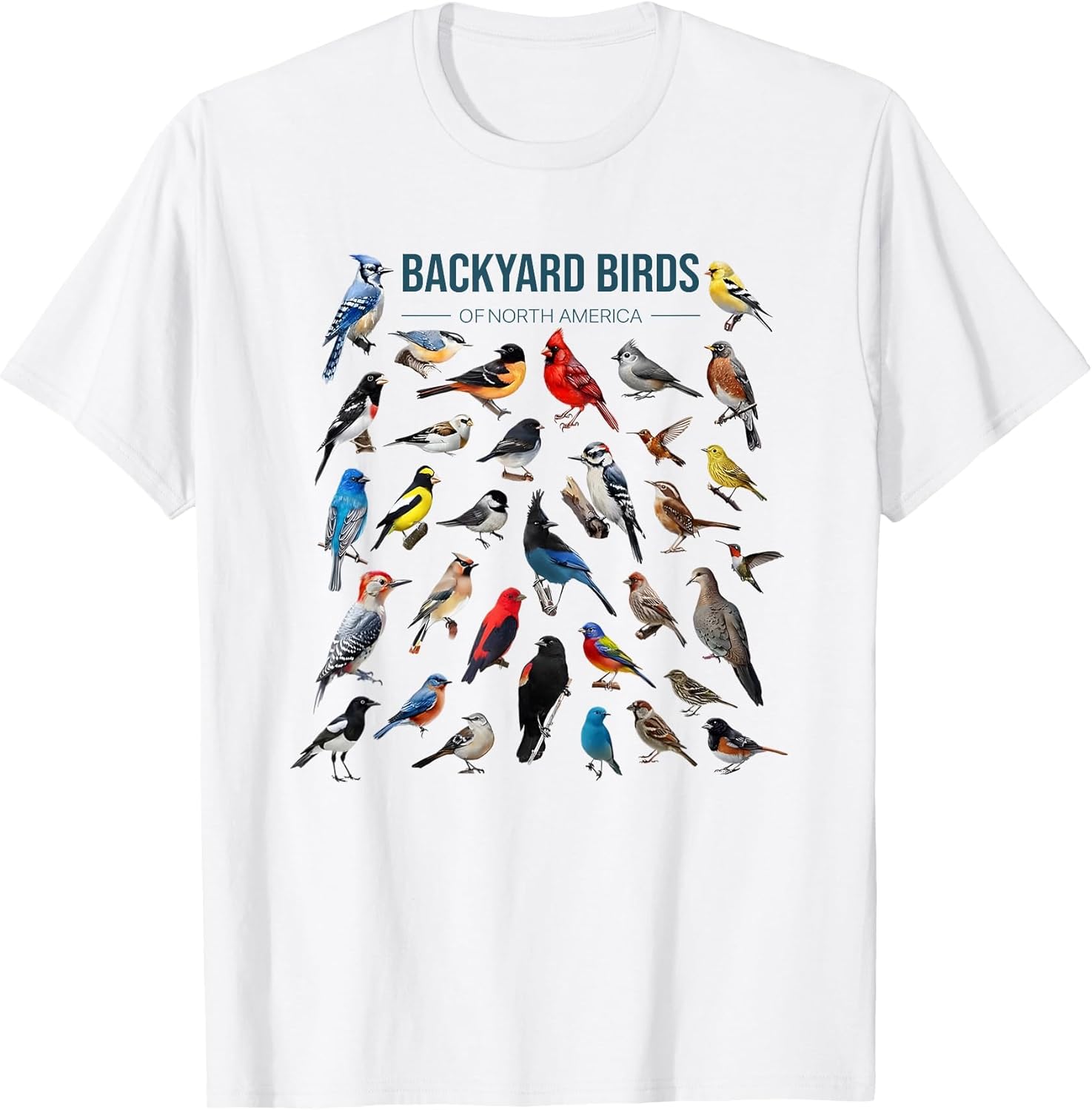 Backyard Birds of North America