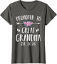 Promoted to Great Grandma Est 2026 New Great Grandmother