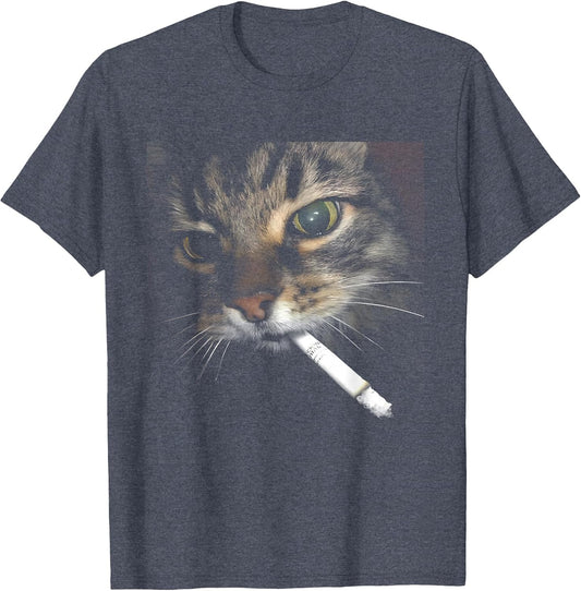 Cat Photo