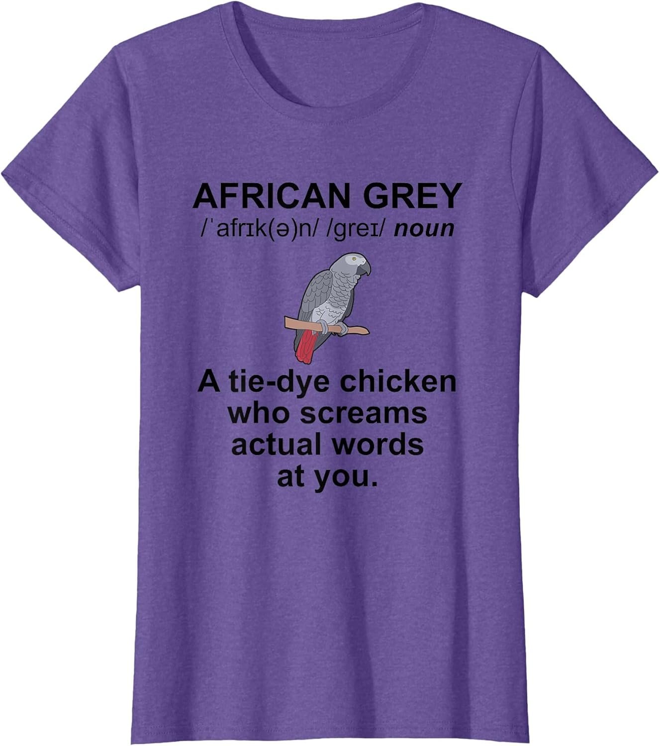 African Grey Owner Definition African Grey Parrot Lover