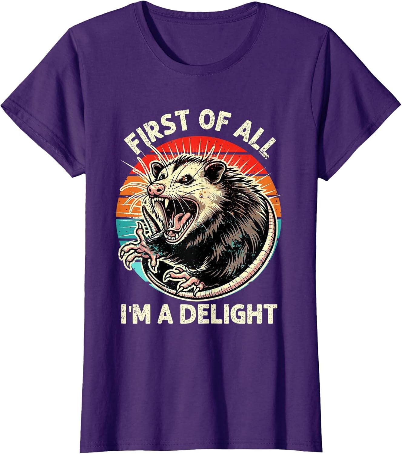 First of All I'm A Delight Sarcastic Possum Angry Opossum