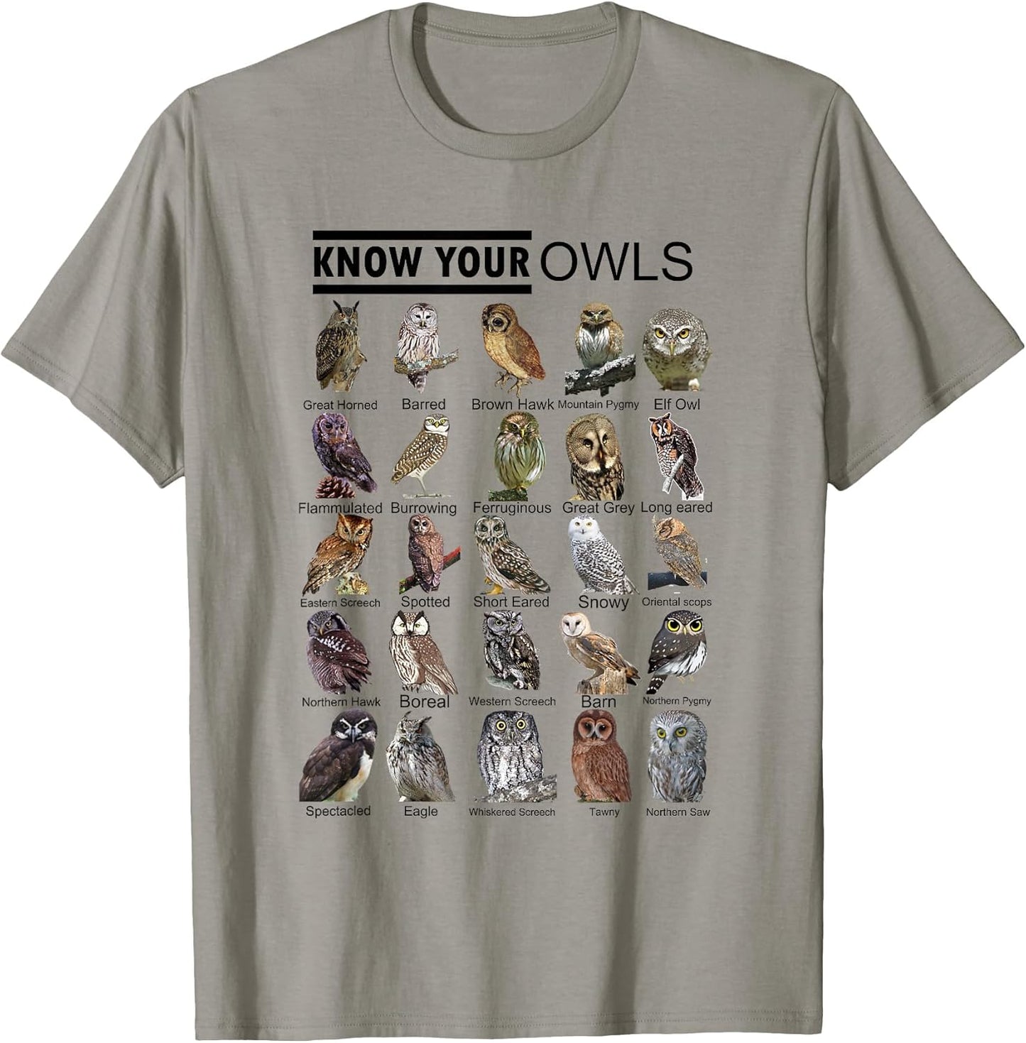 Know Your Owls All Type of Owl Spirit Animal for Owl Lovers