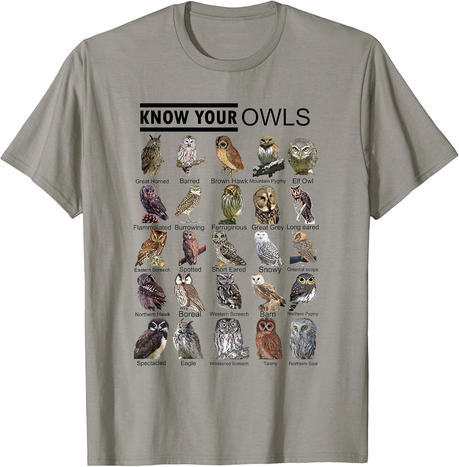 Know Your Owls All Type of Owl Spirit Animal for Owl Lovers