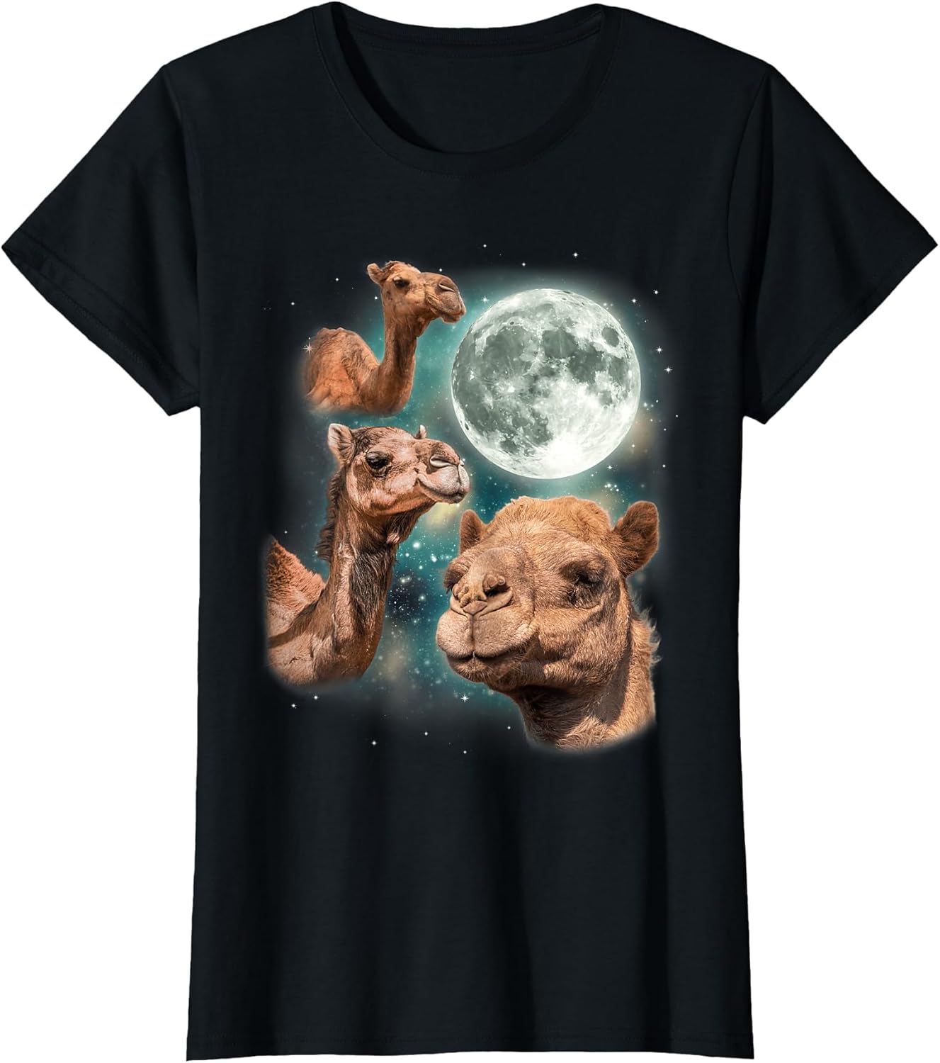 Three Camels Moon | 3 Dromedary Camels Under A Desert Moon